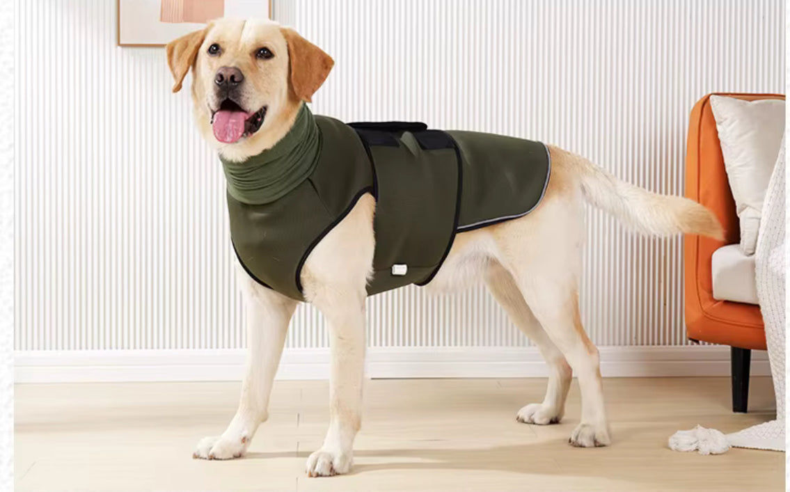 Transform Anxiety into Serenity for Your Dog